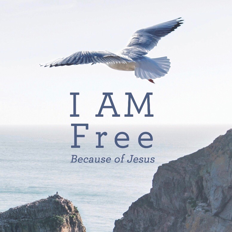 i am free because essay