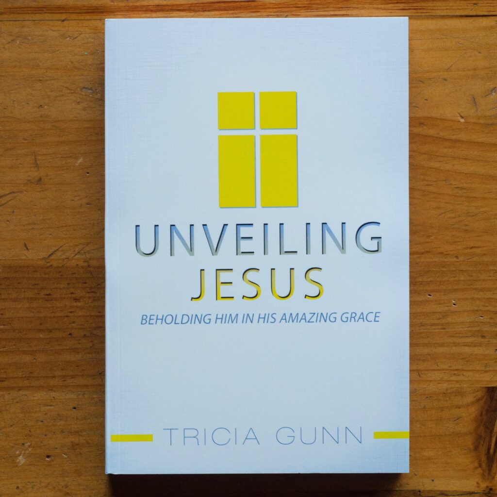 Unveiling Jesus Book