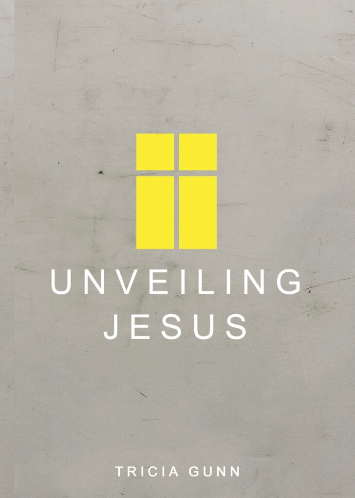 Unveiling Jesus 20-Part Series